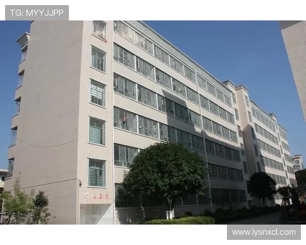 邵阳企业家致力于创新与发展的成功之路探析