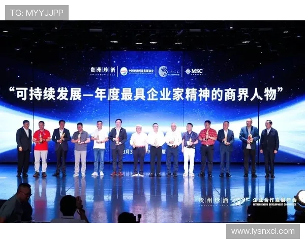 致敬勇立潮头引领创新时代发展的卓越企业家奋斗精神之光辉华彩乐章